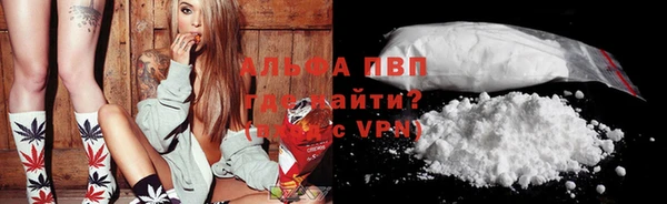 хмурый Елизово