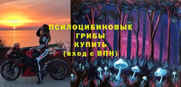 метадон Ельня