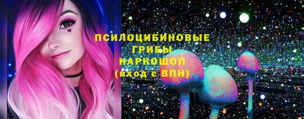 метадон Ельня