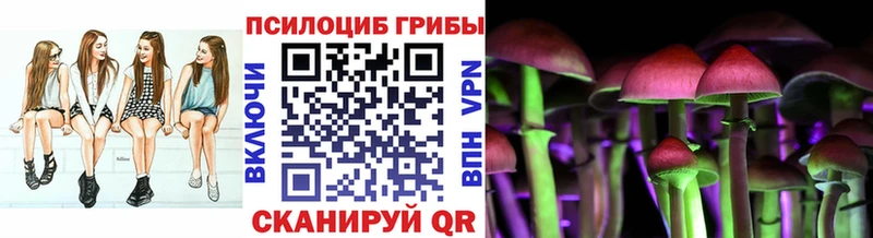 Галлюциногенные грибы прущие грибы  Купить где  Сосновый Бор 