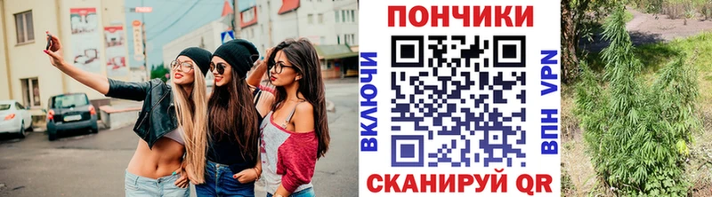Купить  Сосновый Бор  Конопля AK-47 
